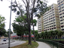 Blk 424 Hougang Avenue 6 (Hougang), HDB 4 Rooms #243712